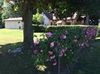 66 Tremont St photo